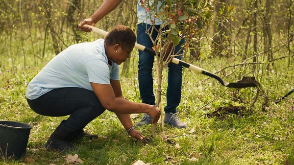 Comment les jardins botaniques contribuent-ils à la préservation de la biodiversité ?